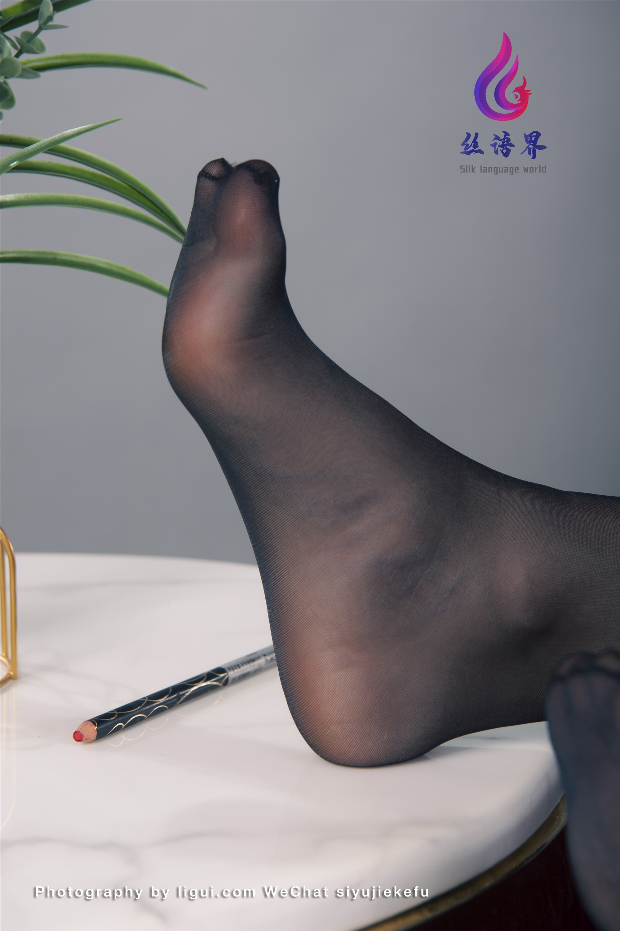 Ligui丽柜 2022.04.27 网络丽人 Model 愉心